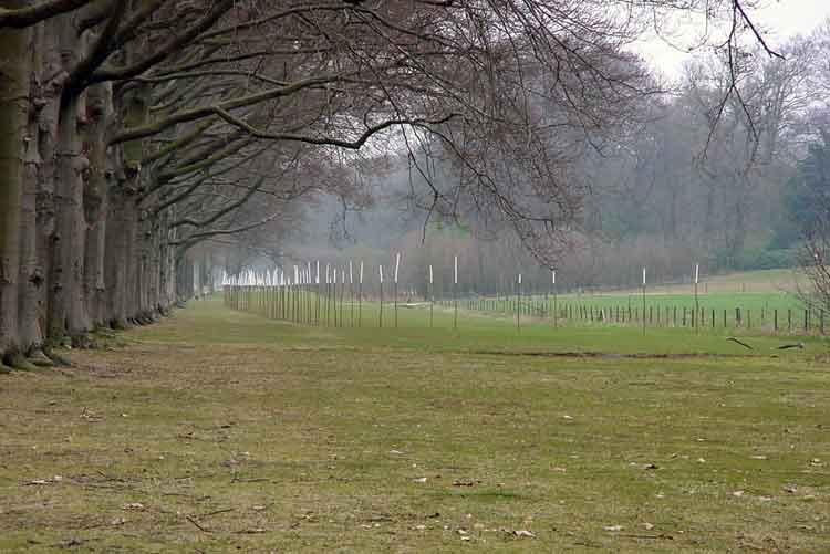"jaarringen" environmental sculpture exhibition in Baarn, Holland.